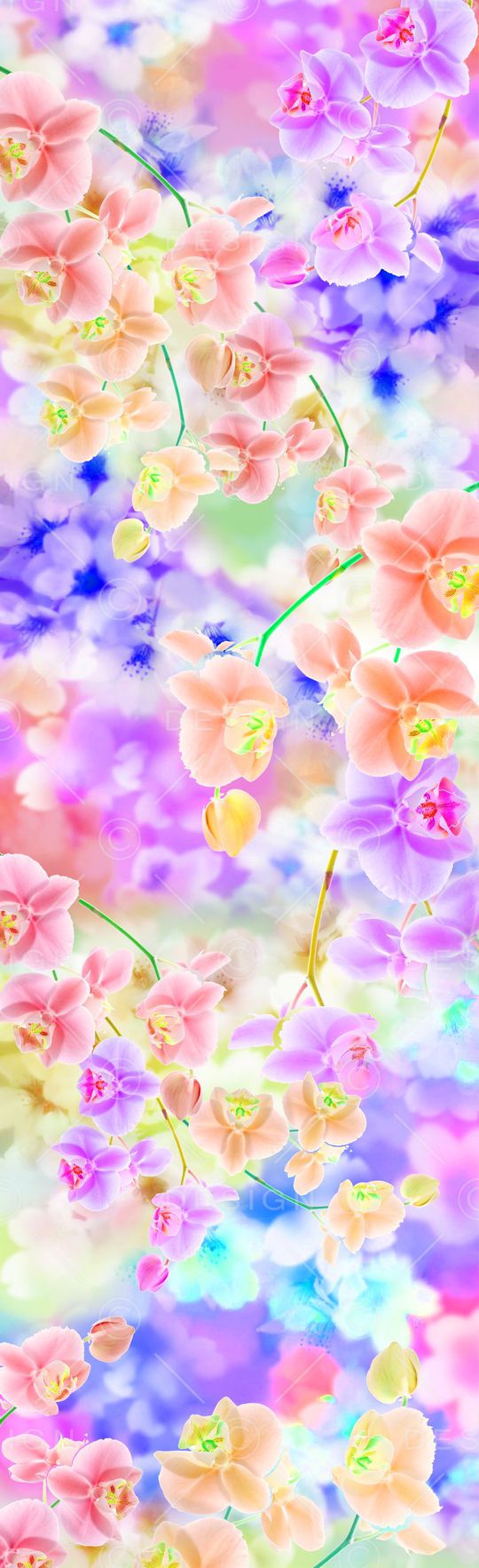 梦幻印花华亿平台图片