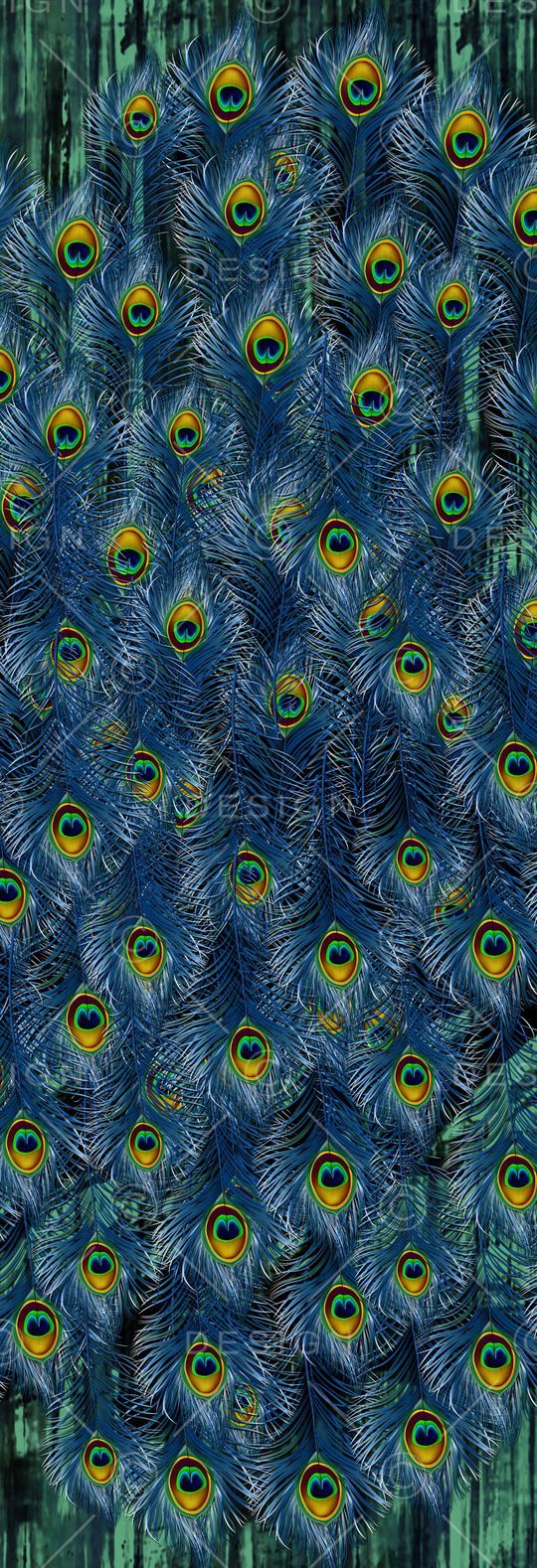 孔雀印花华亿平台图片