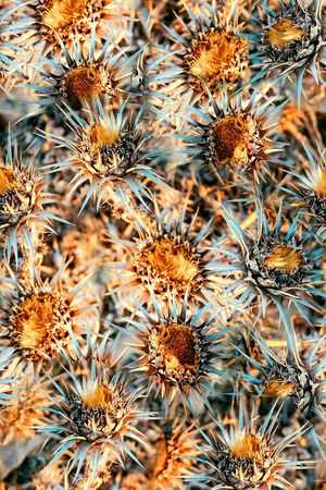 抽象艺术印花华亿平台图片