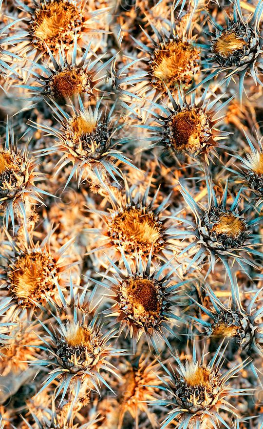 抽象艺术印花华亿平台图片