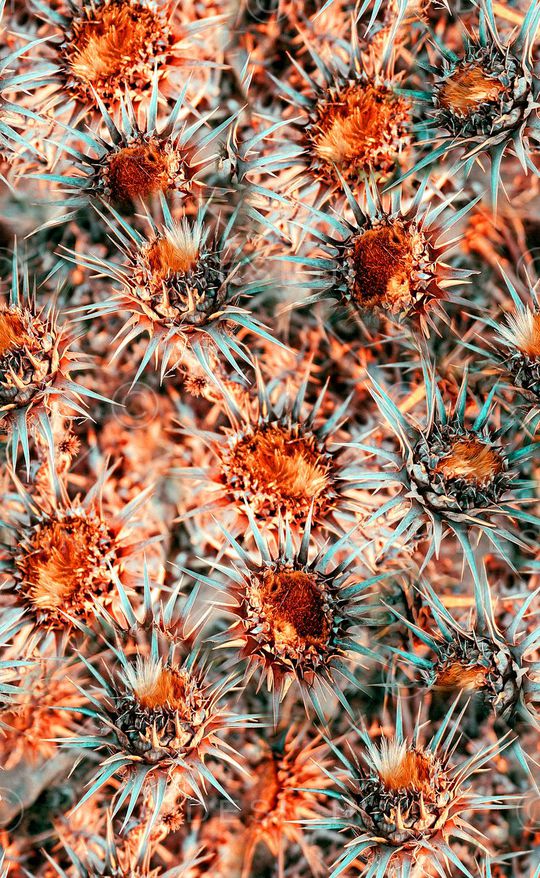 数码印花印花华亿平台图片