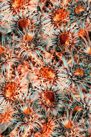 数码印花印花华亿平台图片