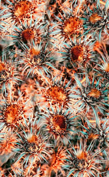 500379-欧美流行时尚手绘带刺花卉 女装连衣