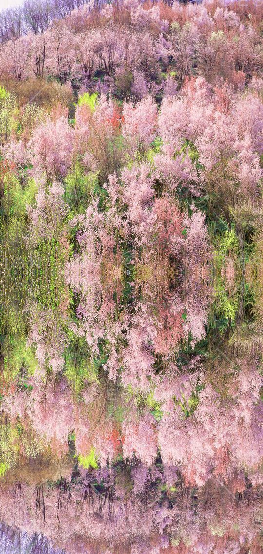 风景印花华亿平台图片