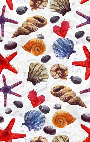 500565-海底动物大荟萃 贝壳海螺海星  田