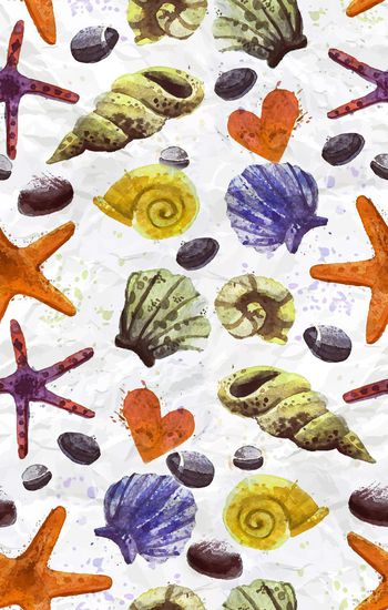 500566-海底动物大荟萃 贝壳海螺海星 