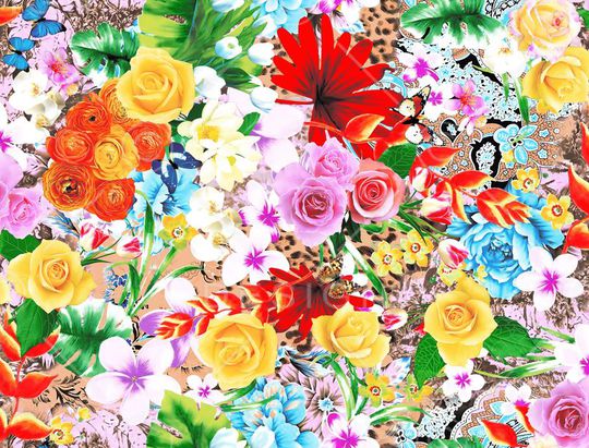 蝴碟印花华亿平台图片