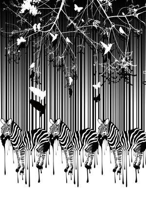 斑马纹印花华亿平台图片