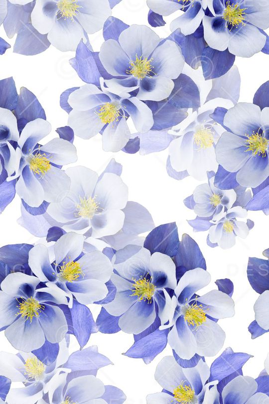 流行时尚印花华亿平台图片