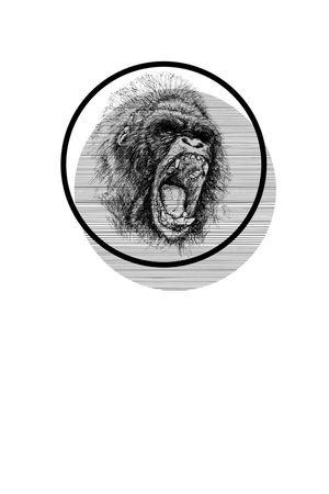 男装印花华亿平台图片