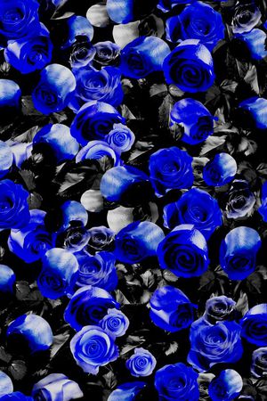 纪梵希印花华亿平台图片