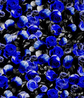 500893-玫瑰满版纪梵希