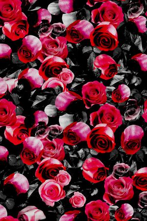 纪梵希印花华亿平台图片