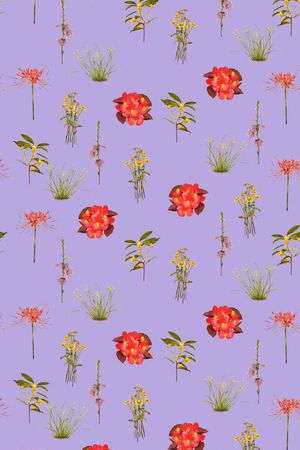 时尚印花华亿平台图片