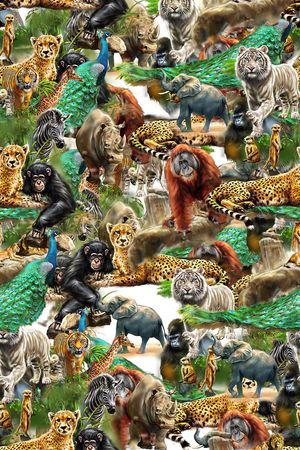 动物印花华亿平台图片