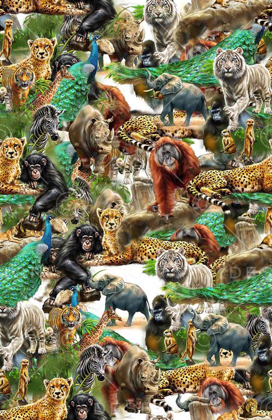 动物印花华亿平台图片