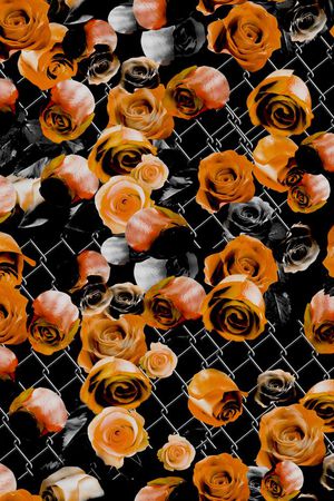 时尚印花华亿平台图片