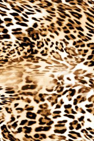 豹纹印花华亿平台图片