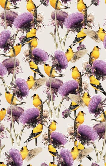 501282-潮流时尚水彩花卉复古鸟组合印花