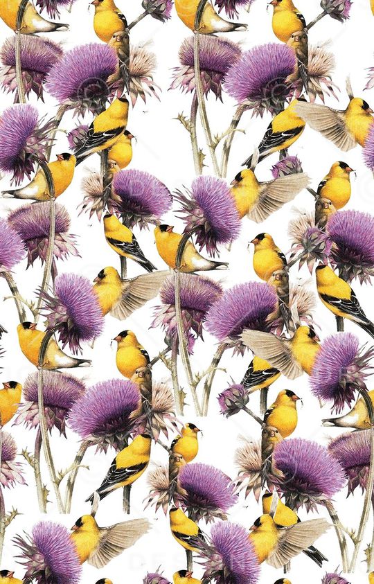 潮流时尚印花华亿平台图片