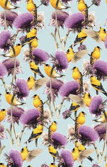 501284-潮流时尚水彩花卉复古鸟组合印花