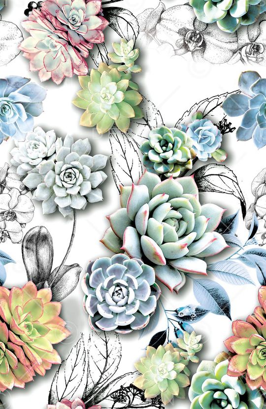 叶子花印花华亿平台图片