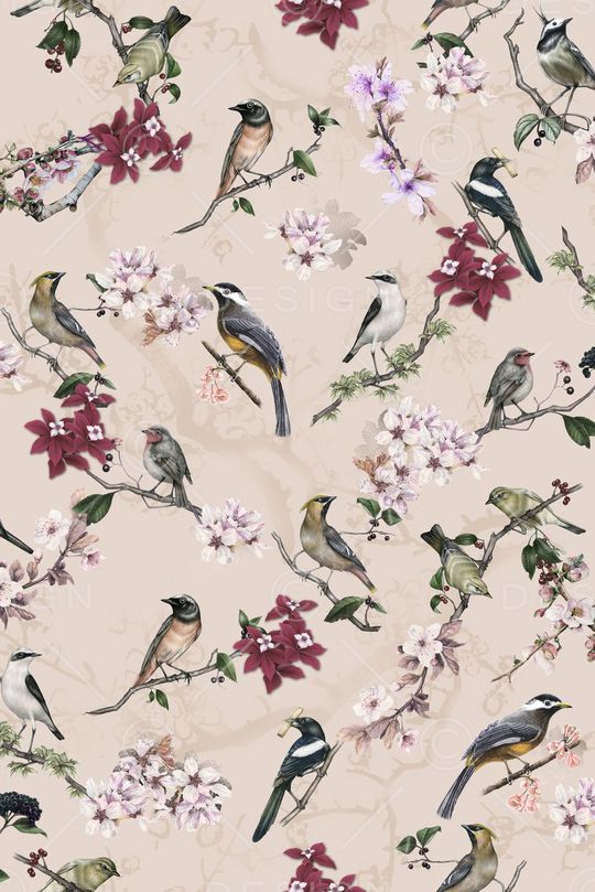 鸟、树枝印花华亿平台图片