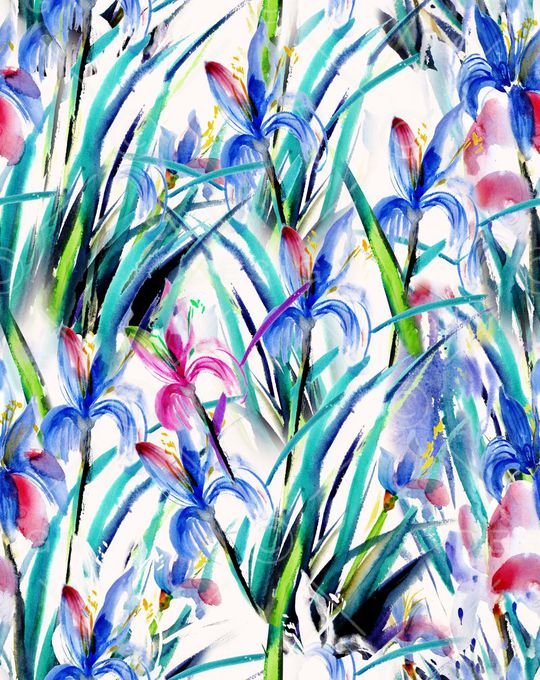 手绘水彩鸢尾花花卉年轻时尚大牌印花华亿平台图片