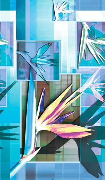 501527-原创大牌几何方格天堂鸟花卉