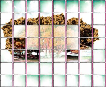 501529-原创方格几何大树景观华亿平台