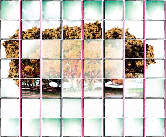 原创印花华亿平台图片