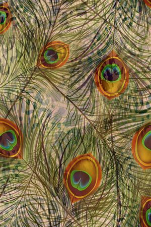 欧美印花华亿平台图片