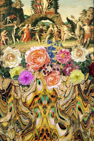 女装印花华亿平台图片