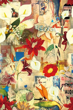 女装印花华亿平台图片