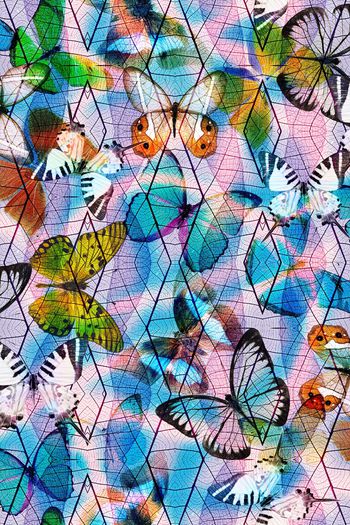 501624-蝴蝶  树叶机理组合