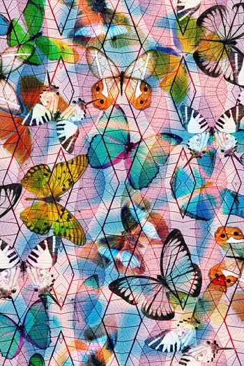 501628-蝴蝶  树叶机理组合