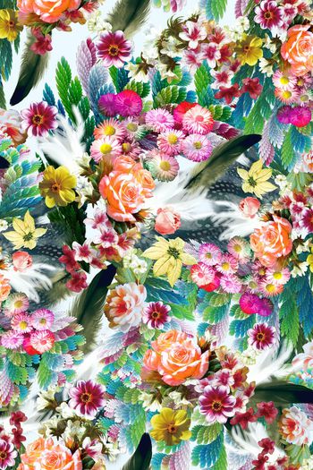 501686-手绘花卉 羽毛组合   抽象底纹 