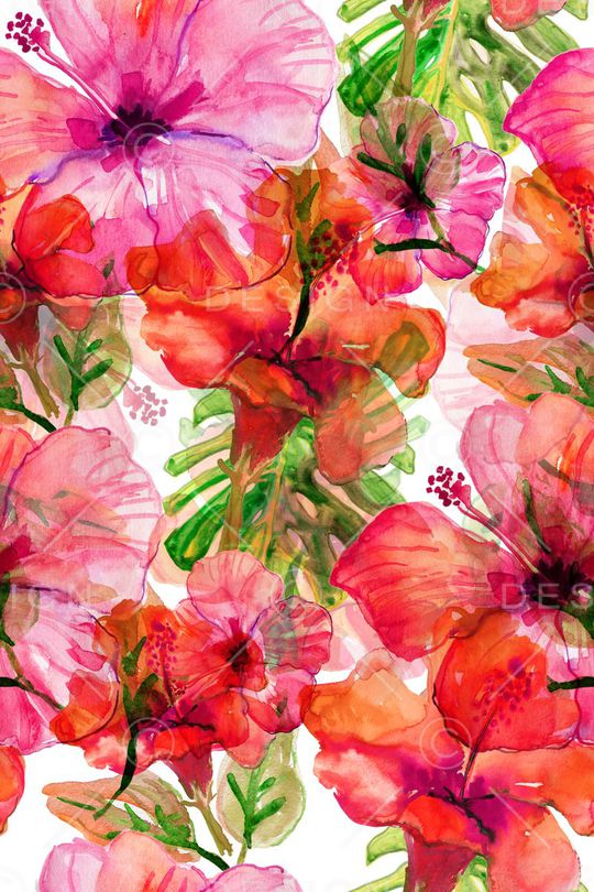 大牌印花华亿平台图片