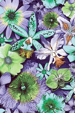 原创印花华亿平台图片