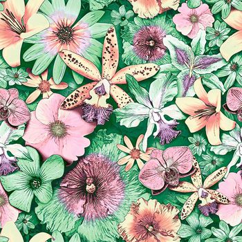 501720-原创  花卉