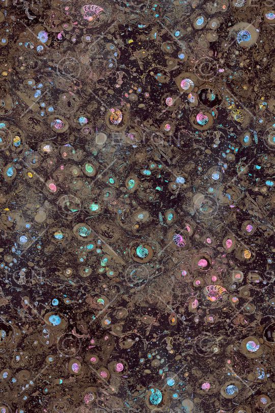 贝壳印花华亿平台图片