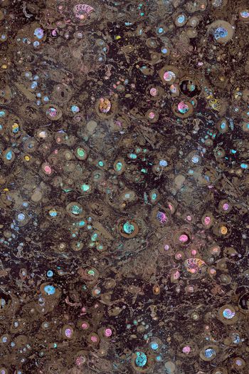 贝壳印花华亿平台图片