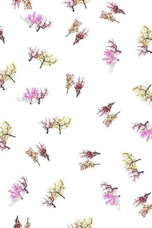 创意印花华亿平台图片