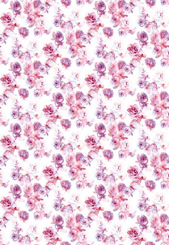 501889-手绘玫瑰花  数码华亿平台