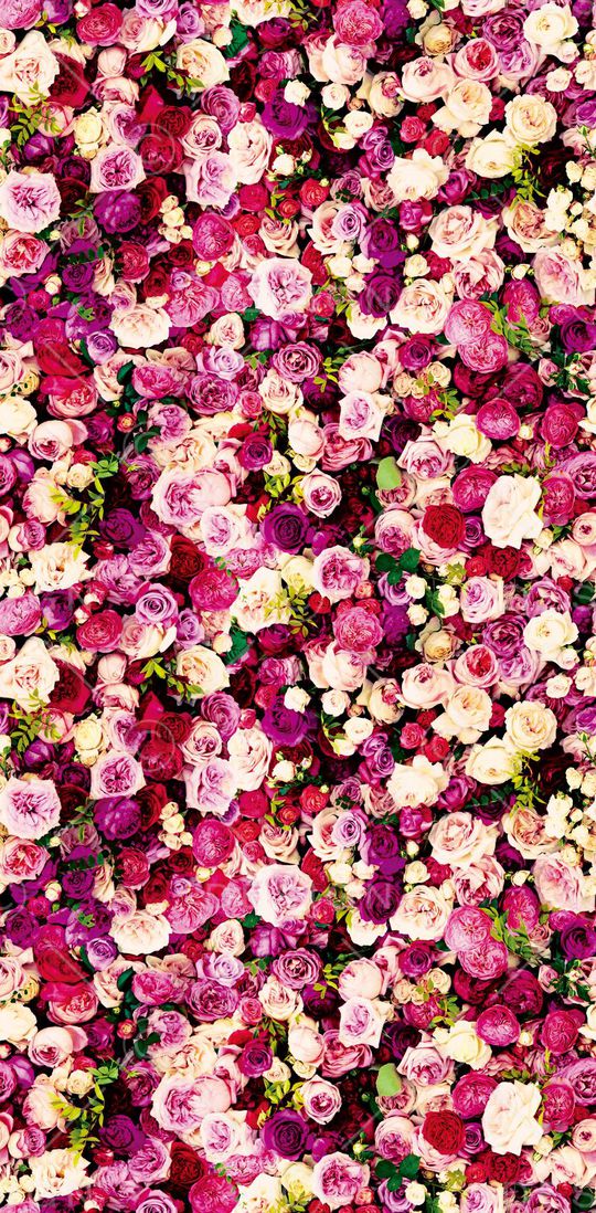 彩绘 花瓣 花卉 花絮 花朵 花蕾 树叶 叶子 百花齐开印花华亿平台图片