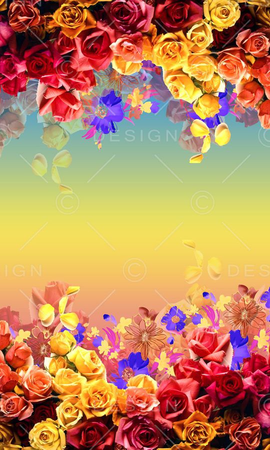 玫瑰印花华亿平台图片