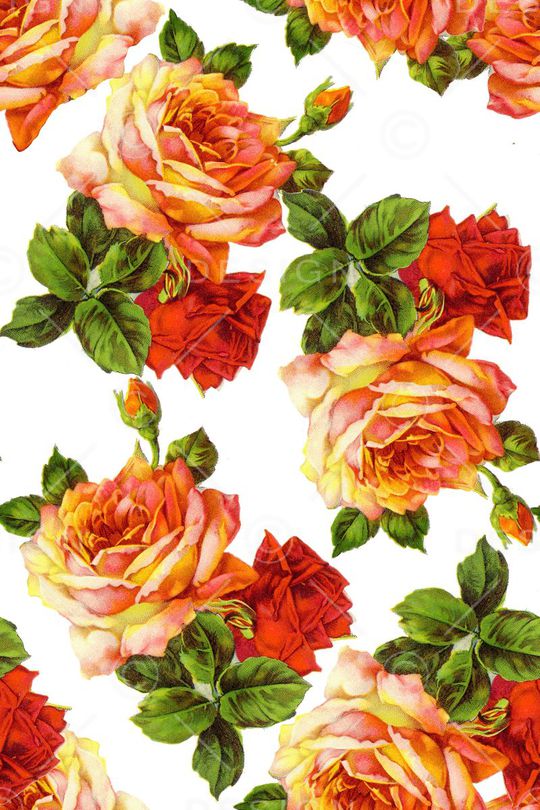 女装印花华亿平台图片