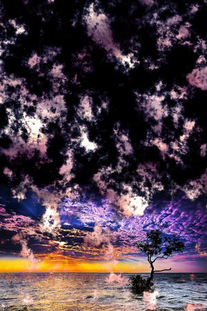 梦幻印花华亿平台图片