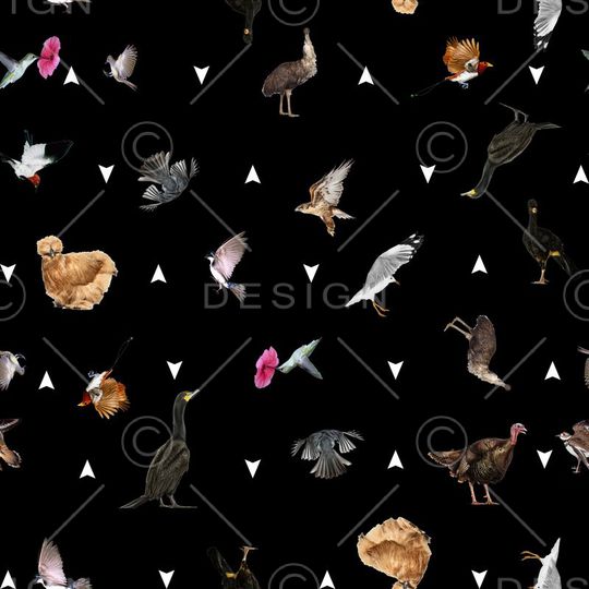 动物、鸟类、家禽、花卉、几何印花华亿平台图片