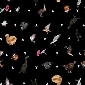 502240-动物鸟类家禽花卉－男装衬衫华亿平台